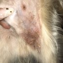 방가온누리약국 이미지