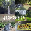 고센숲 정읍농장 | 발리여행 후기 - 우붓에서 가야할 곳? (ft. 그랩오빠의 추천)