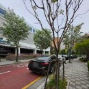 동판교로266번길 | 24개월 미만 영아들 놀기에 딱 좋은 삼평동 아이사랑놀이터 공휴일 방문기! (주차, 놀이시설, 화장실 안내)