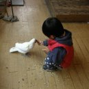 도훈목장 이미지