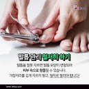 레푸스마곡 이미지