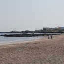 삼양해수욕장 이미지