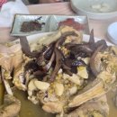 청풍식당 - 경주시 산업로 2762-3 | 가야산 해인사 근처 청풍식당 내돈내산 후기 능이버섯백숙 먹고 온 추천 후기