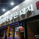 날마다좋은돼지