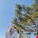 월드 파크 | [경주] 경주월드 눈썰매장 '스노우파크' 주말방문 후기