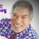 나훈아 노래 모음 이미지