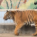 달성공원 이미지