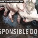 가학농장 이미지