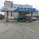 포천농협주유소 이미지