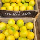 승환농장 이미지