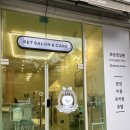 뽀송 펫 살롱 이미지