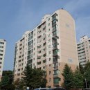 금호약국 | [분당아파트] 수내동 양지마을 1단지 금호아파트 분석(26.7)