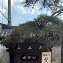 우둠지 풍천장어 이미지