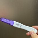 아임팜 이미지