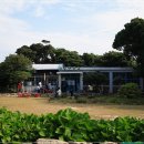 미카엘민박 이미지