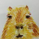 (주)세토리 이미지