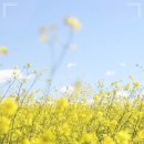 선한치과의원 이미지