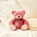 디어베어 이미지