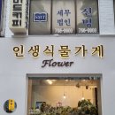 인생식물가게