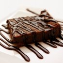 강서동물병원 이미지