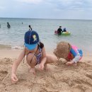 머루다래 민박 이미지