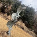 오빠상회 이미지