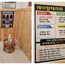 아라핏
