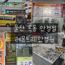 시민안경원 | 울산 옥동 안경점 레몬트리 안경원 시력검사 잘하는곳