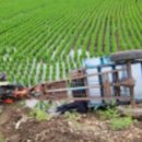 오사1리마을회관 이미지