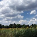 이승현농장 이미지