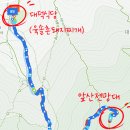 웅자커피
