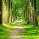 삼중카랜드 이미지