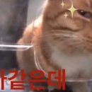 혼저옵서예 이미지