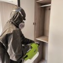 돈 크리크 카카오 검색결과