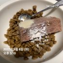 라뽀동물병원 이미지