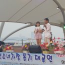 금갈매기