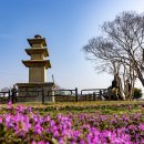 보성 우천리 삼층석탑 (寶城 牛川里 三層石塔) 이미지