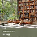 화이트스테이 이미지