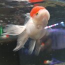 (주)아쿠아링크 이미지