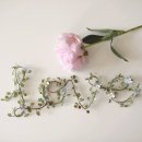 드림피드(주) 이미지