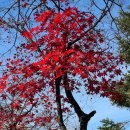 필메디스의원 이미지