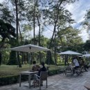 파라스파라 서울 이미지