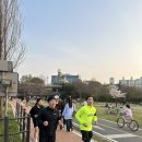 코알라패밀리 이미지