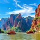 생명의 기쁨 이미지