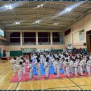 브레인박사 태권도장 | 창원태권도 브레인박사태권도장, 과학적 접근으로 성장하세요