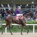 대승축산 이미지