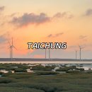 새진 | 대만 버스투어 타이중 일월담 고미습지 일일투어 가격 후기