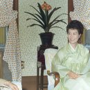 샐리가든 이미지