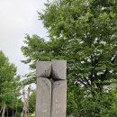 능곡7호(벚나무 어린이공원) | 죽율동 생금공원 수목방제작업 - 미국흰불나방