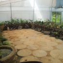 배다골민속박물관 이미지